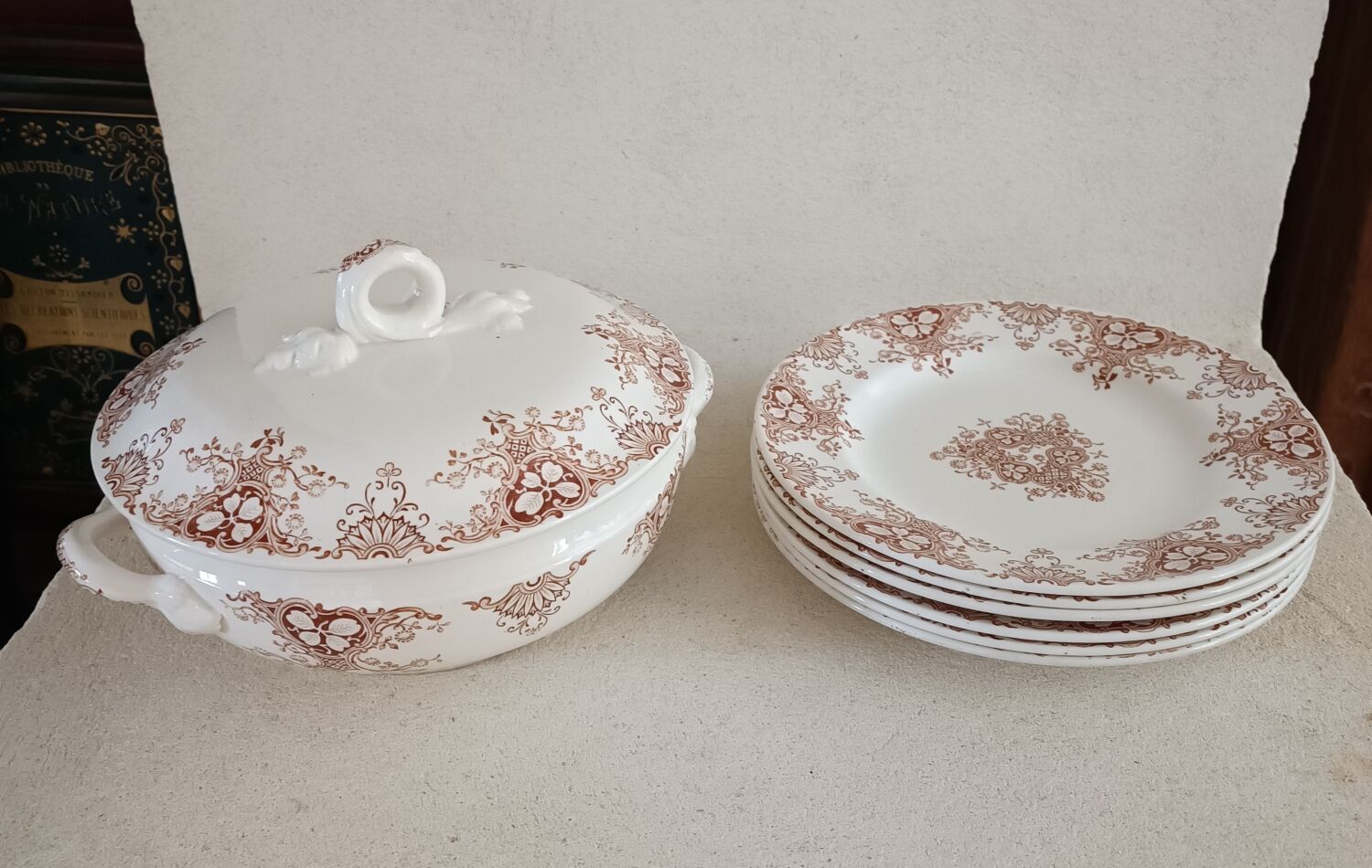 6 plates and vegetable iron earth Lunéville