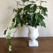 Antique XL neo-classical medicinal cache pot in white clay, 1950.