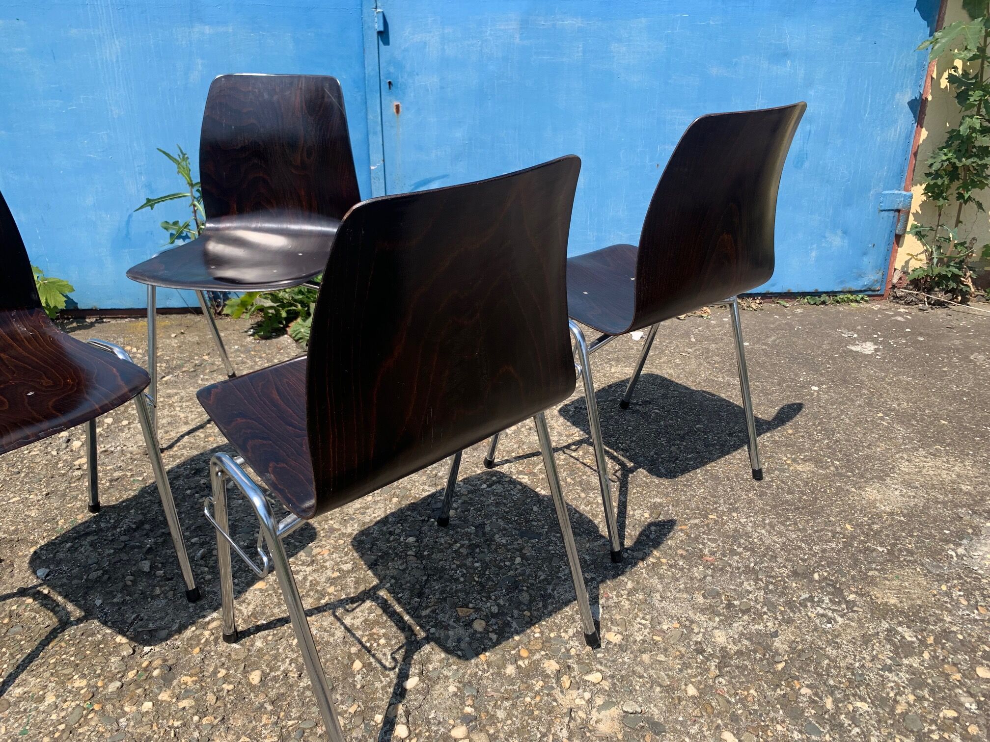 Set of 2 Galvanitas S26 Pagholz chairs, 1960s