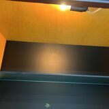 African rosewood drink cabinet, circa 1950