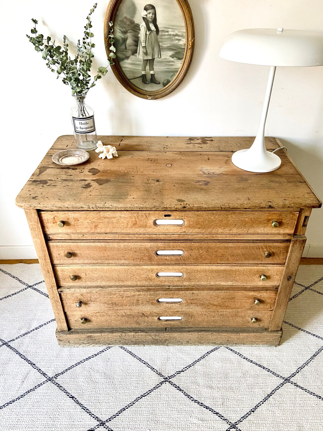 Oak professional furniture - Chest of drawers
