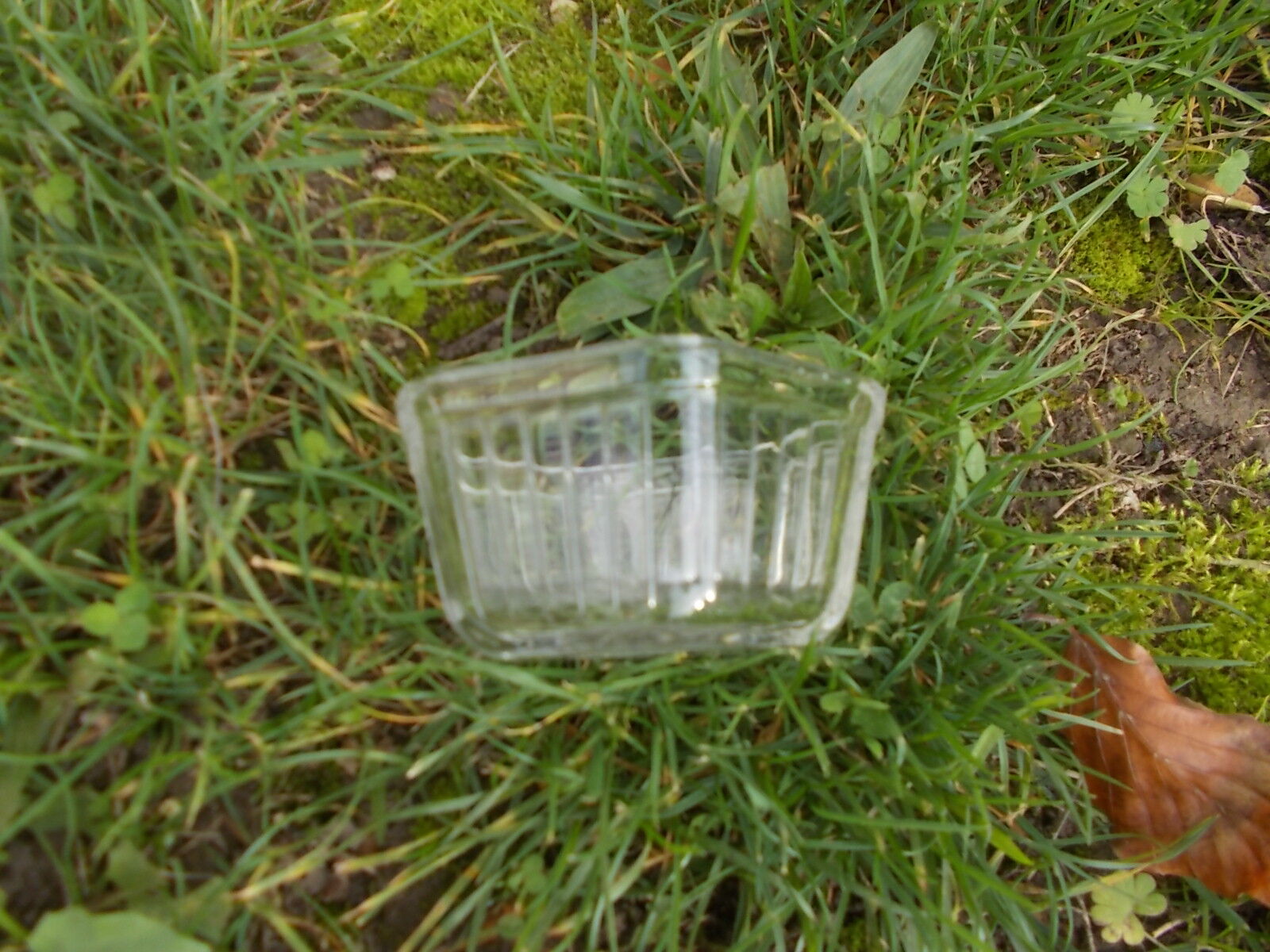 Set of 5 pyrex ramekins