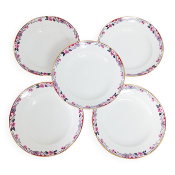 Set of 5 deep plates in Limoges porcelain Bhl