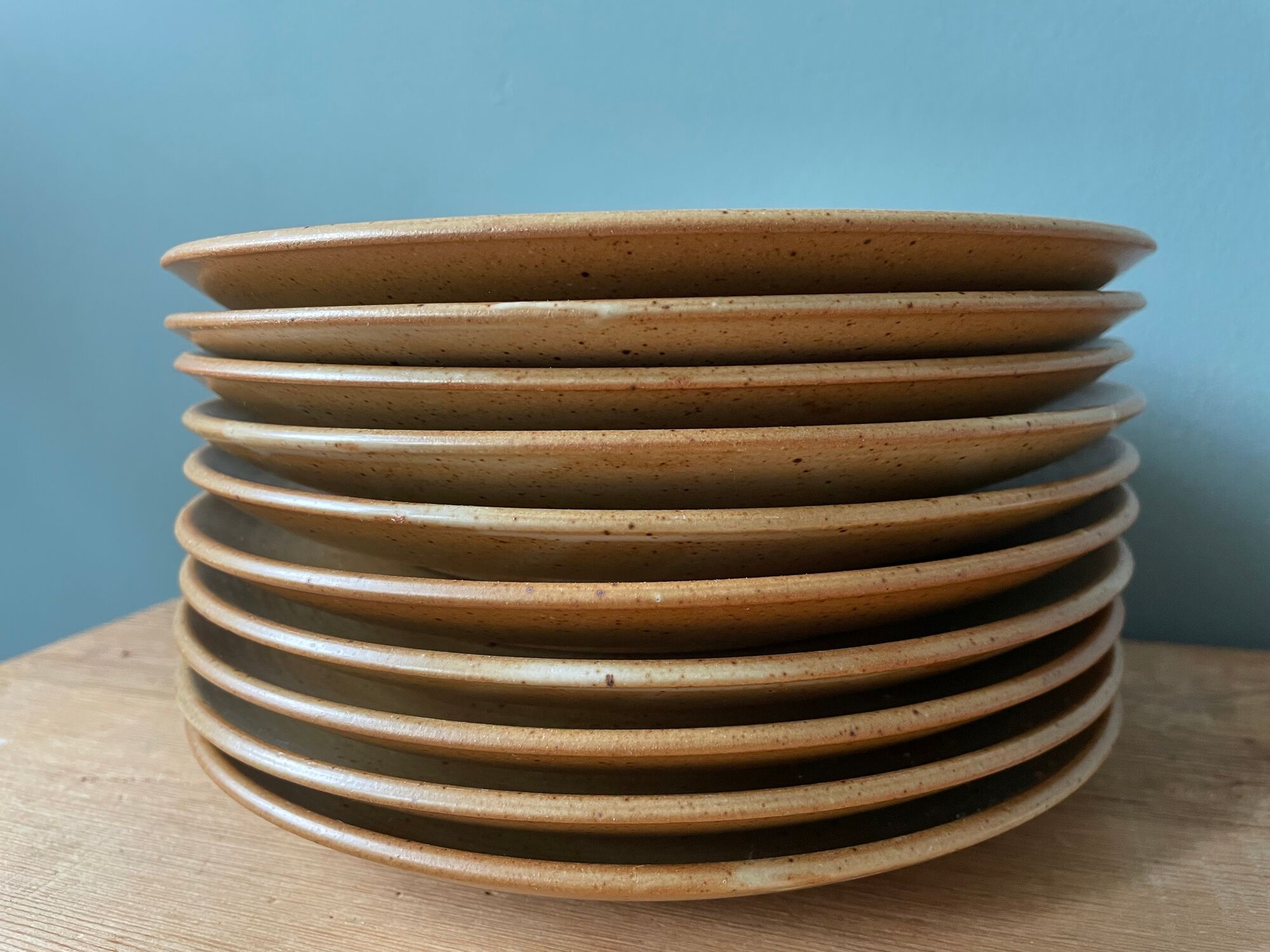 Set of 10 small vintage plates in Stoneware CNP Village France