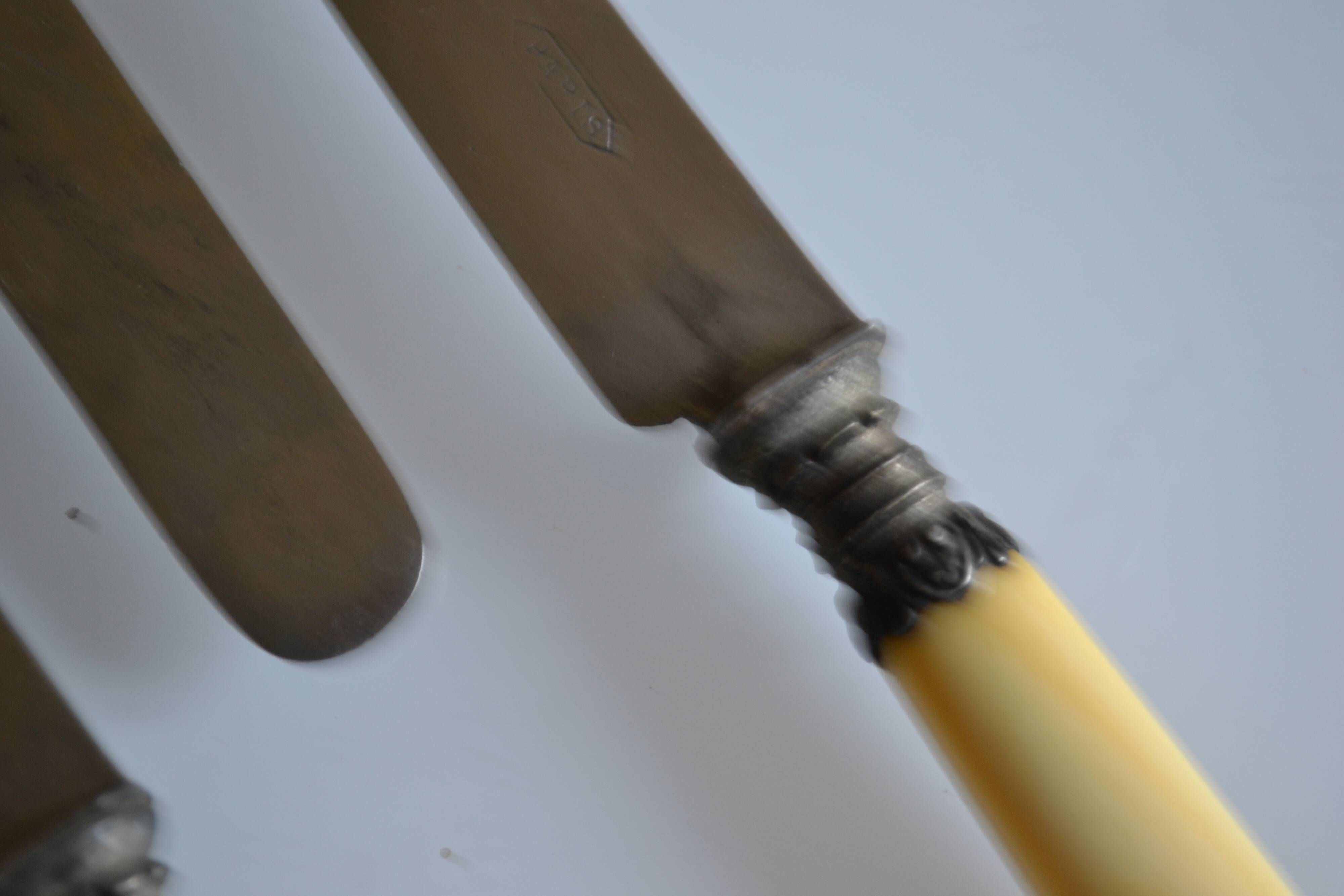 11 antique 19th-century table knives with ivory-colored monogram handles