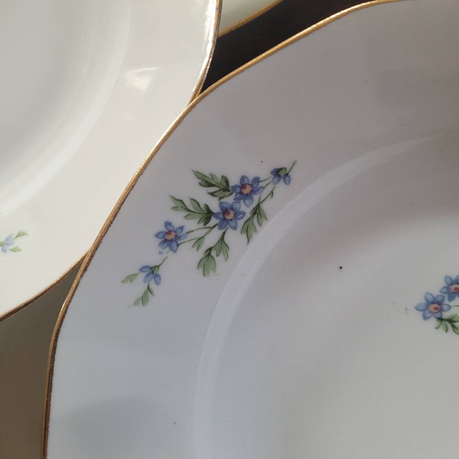 10 Limoges Porcelain Pans Plates – Circa 1915