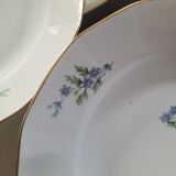 10 Limoges Porcelain Pans Plates – Circa 1915