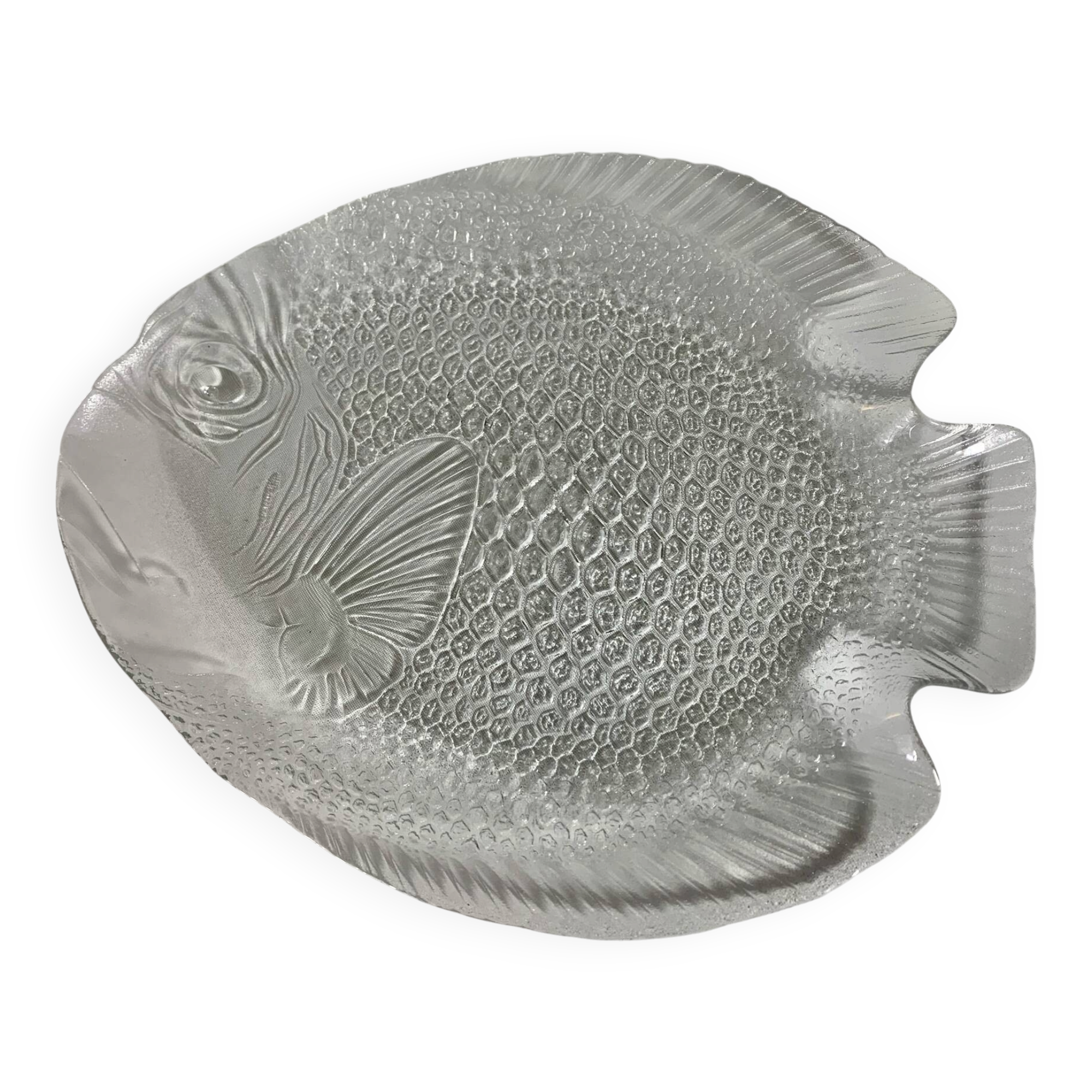Arcoroc dishes for Codec