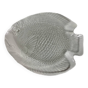 Arcoroc dishes for Codec