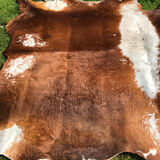 Old cow skin