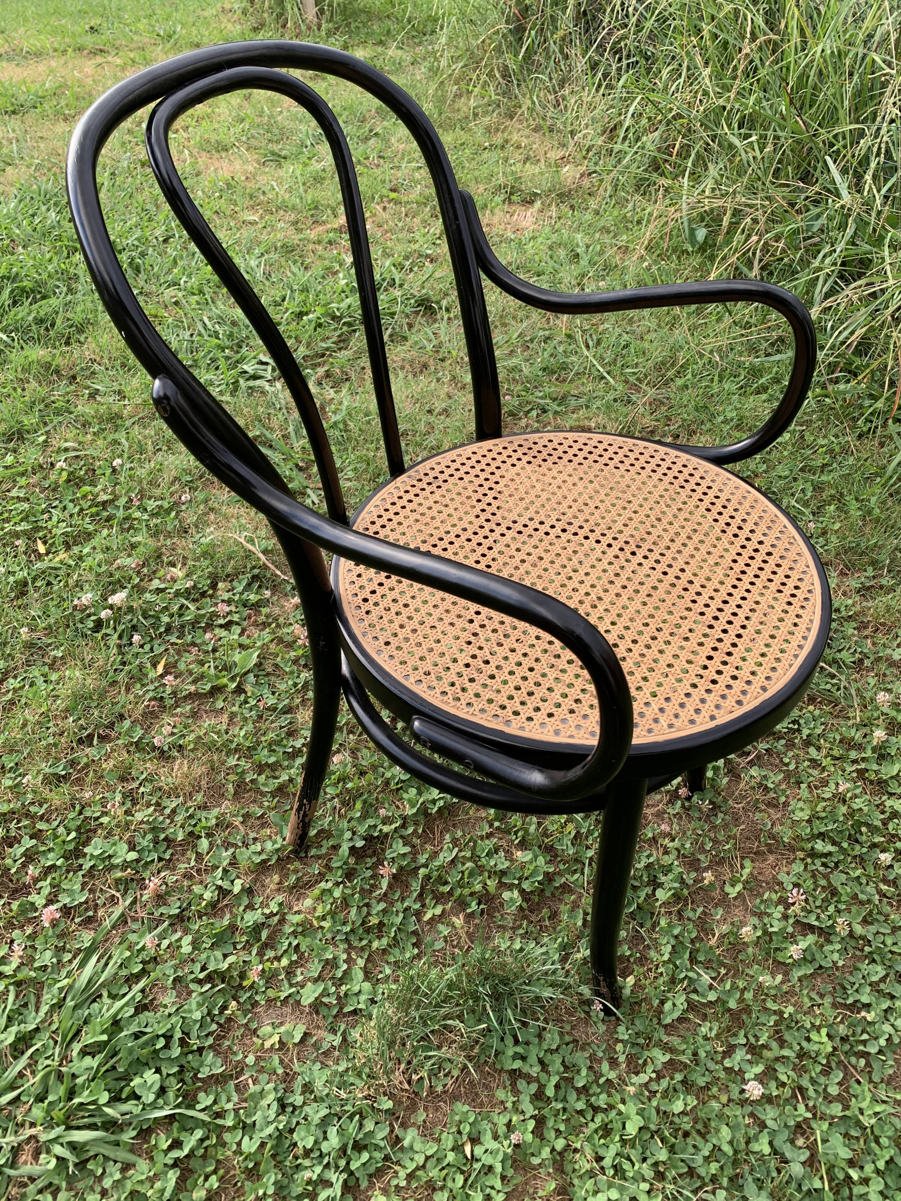 Tuna chair model 1018 in black curved wood and canning 1930
