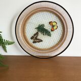 Empty bamboo pocket, glass and true butterfly wings