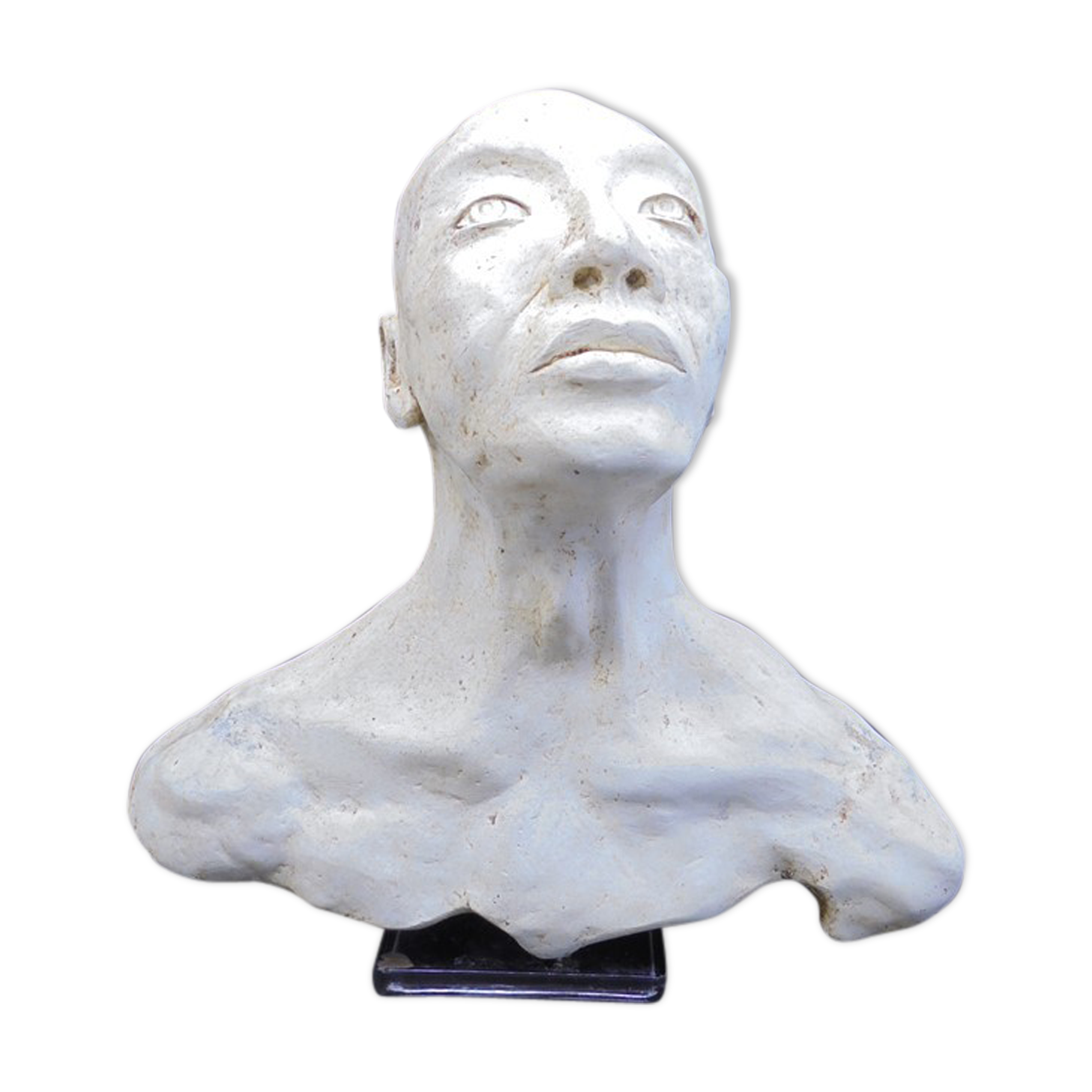 Plaster bust