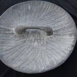 Zulu shield south africa 52 cm