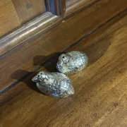 Quail salt and pepper set