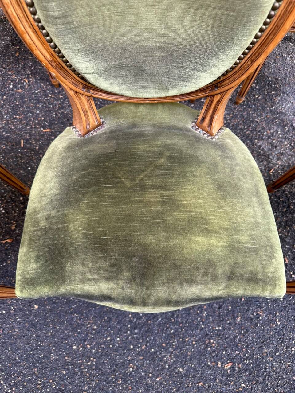 Set of 6 Louis XVI medallion chairs in green velvet, 1950.