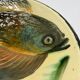 Large fish plate, Puigdemont La Bisbal, Catalonia 1960s