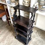 Library, Napoleon III music stand in blackened wood.