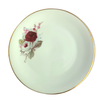 Limoges porcelain plate