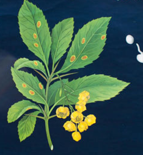 Poster wall of the school of Jung-Koch-Quentell 1970