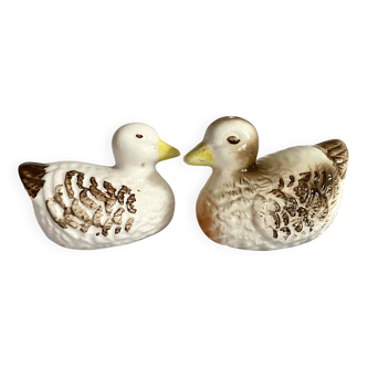 Salière et poivrier en barbotine canard