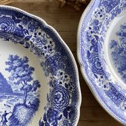 Duo of vintage Villeroy & Boch hollow plates "Burgenland"