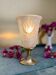 Lamp with antique tulip: the water lilies