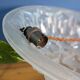 Old Degué Compiegne Chandelier Art Deco suspension white glass paste Numbered