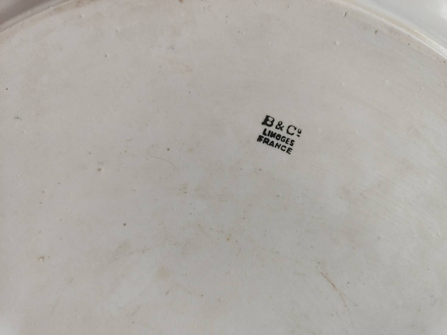 Plat en porcelaine à fleur