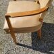 Office armchair from the 50s in beech tinted sycamore and moleskine