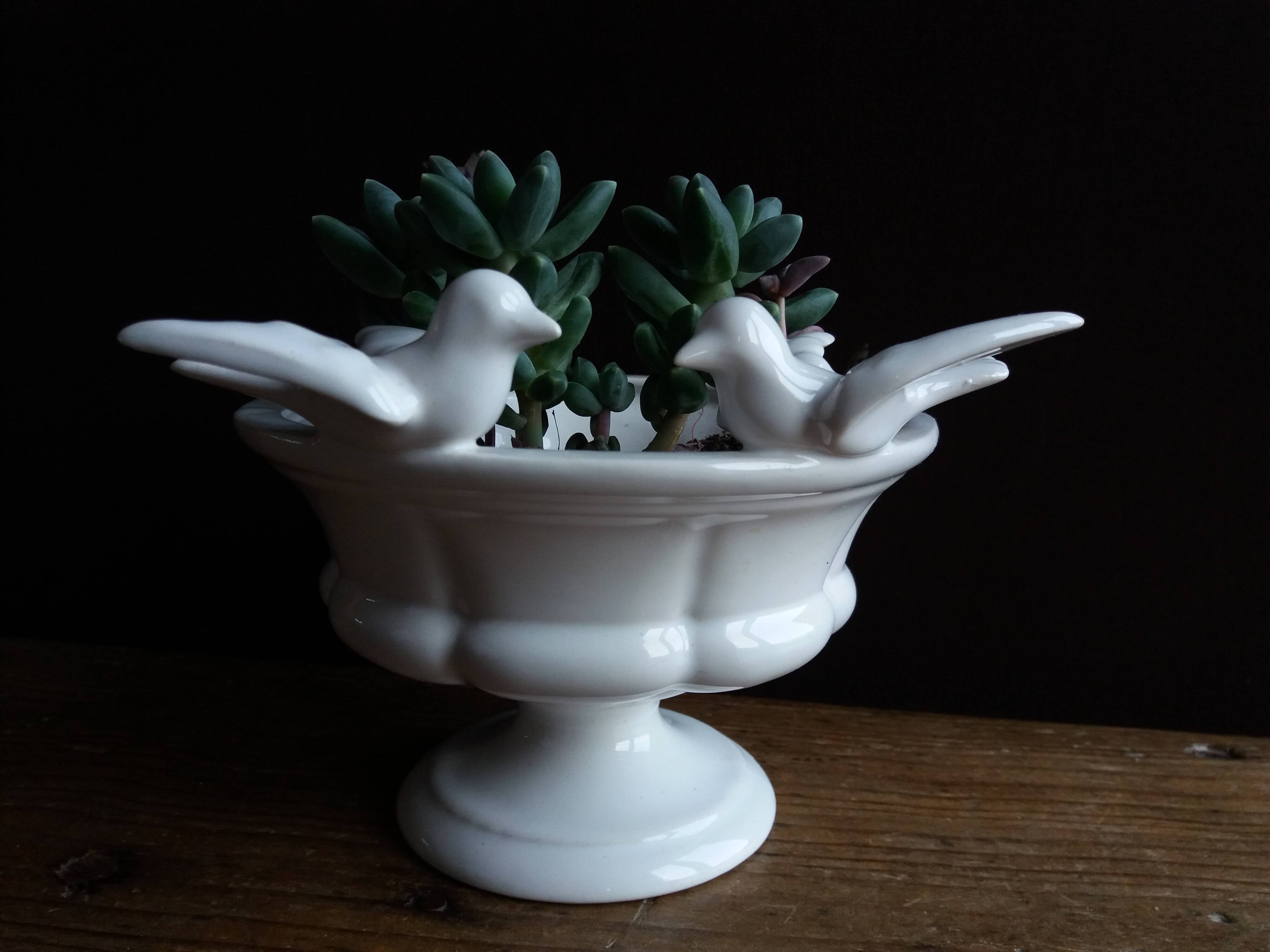 Birdbath cup