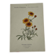 🌿 Botanical Plate Old Naturalist Engraving 19th Century Double-Sided