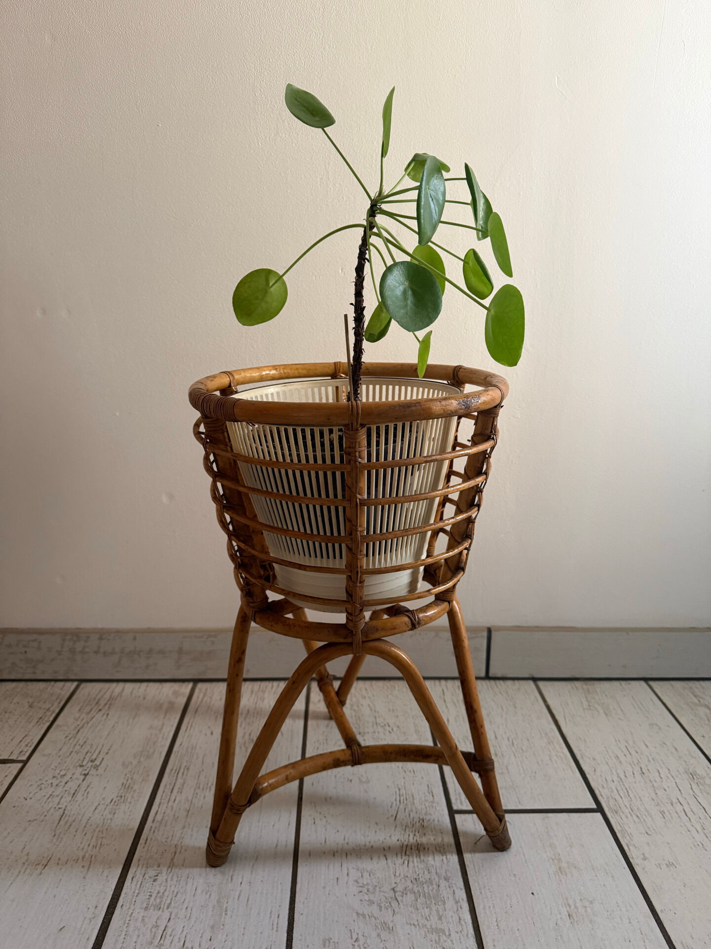 Support pour plante tripode