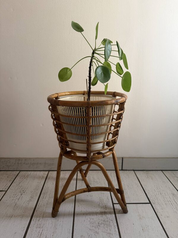 Support pour plante tripode