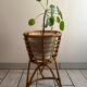 Support pour plante tripode