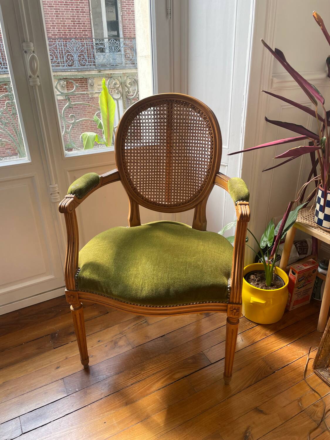 Louis XVI style armchair in velvet and rattan