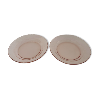 Lot of 2 pink hollow plates - Arcoroc