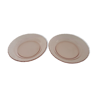 Lot de 2 assiettes creuses roses - Arcoroc