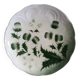 Badonviller thistle plate, 1920