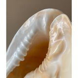 Lampe coquillage