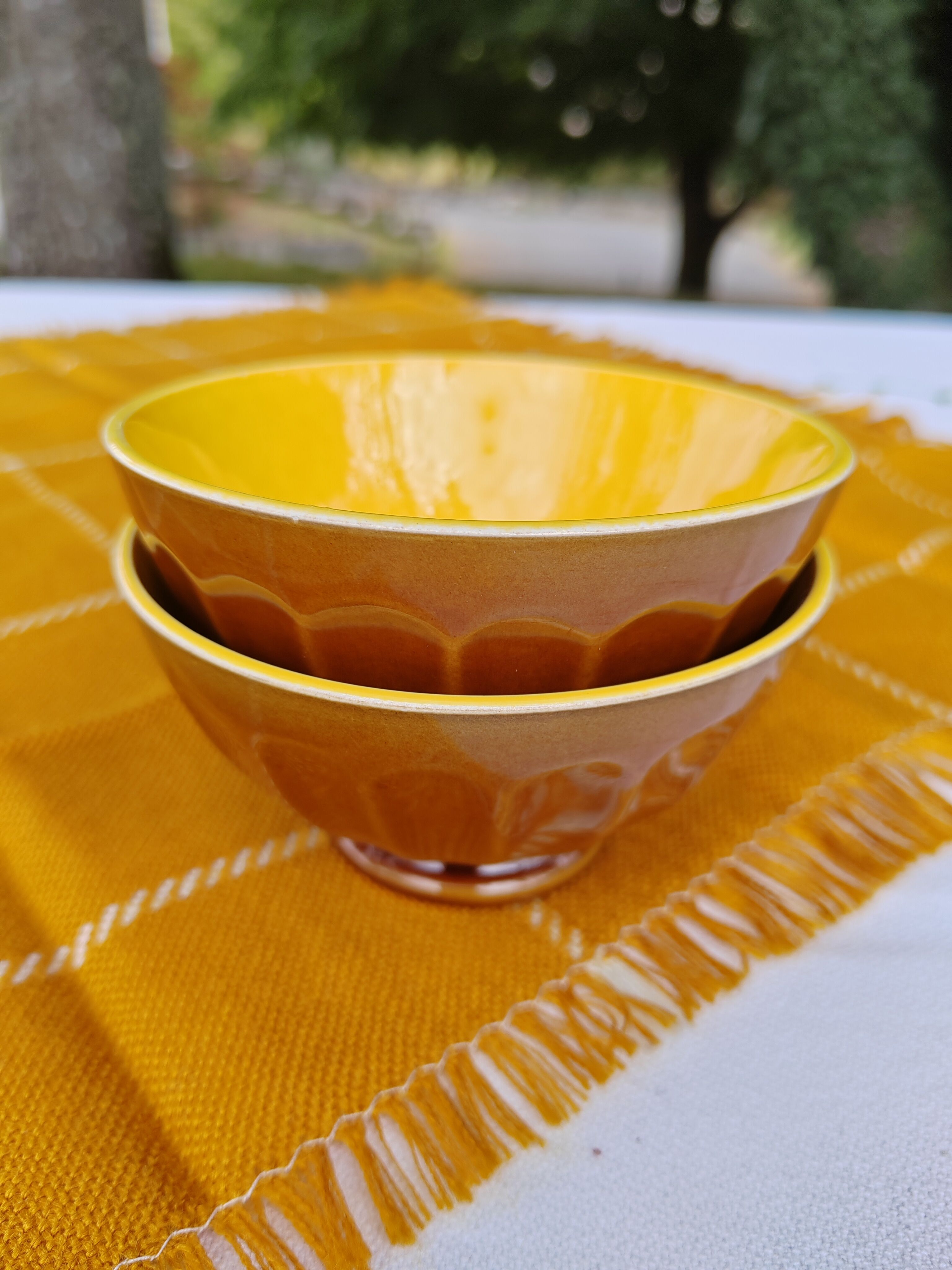 Pair of brown/yellow ribbed bowls - Digoin & Sarreguemines