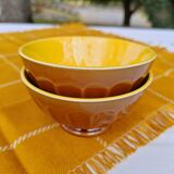 Pair of brown/yellow ribbed bowls - Digoin & Sarreguemines