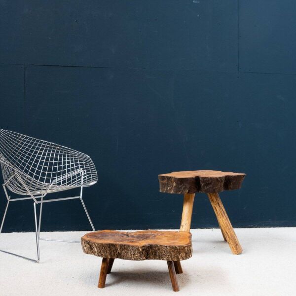 Ensemble de tables basses en bois brut d'orme, 1960, ensemble de 2