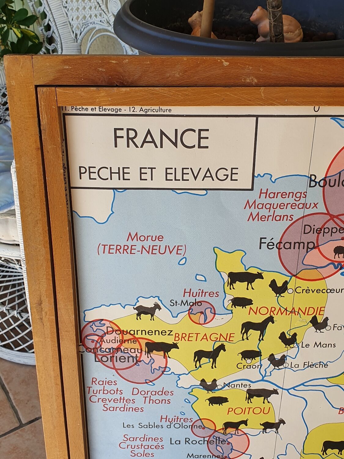 Rossignol school maps