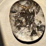 Very large pocket or dish in petrified wood