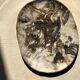 Very large pocket or dish in petrified wood