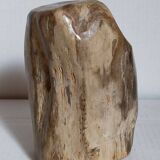 Free form sculpture in fossil wood
