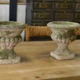 Pair of Medici vases in reconstituted stone, 20th century