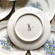 Assiettes en porcelaine Bavaria