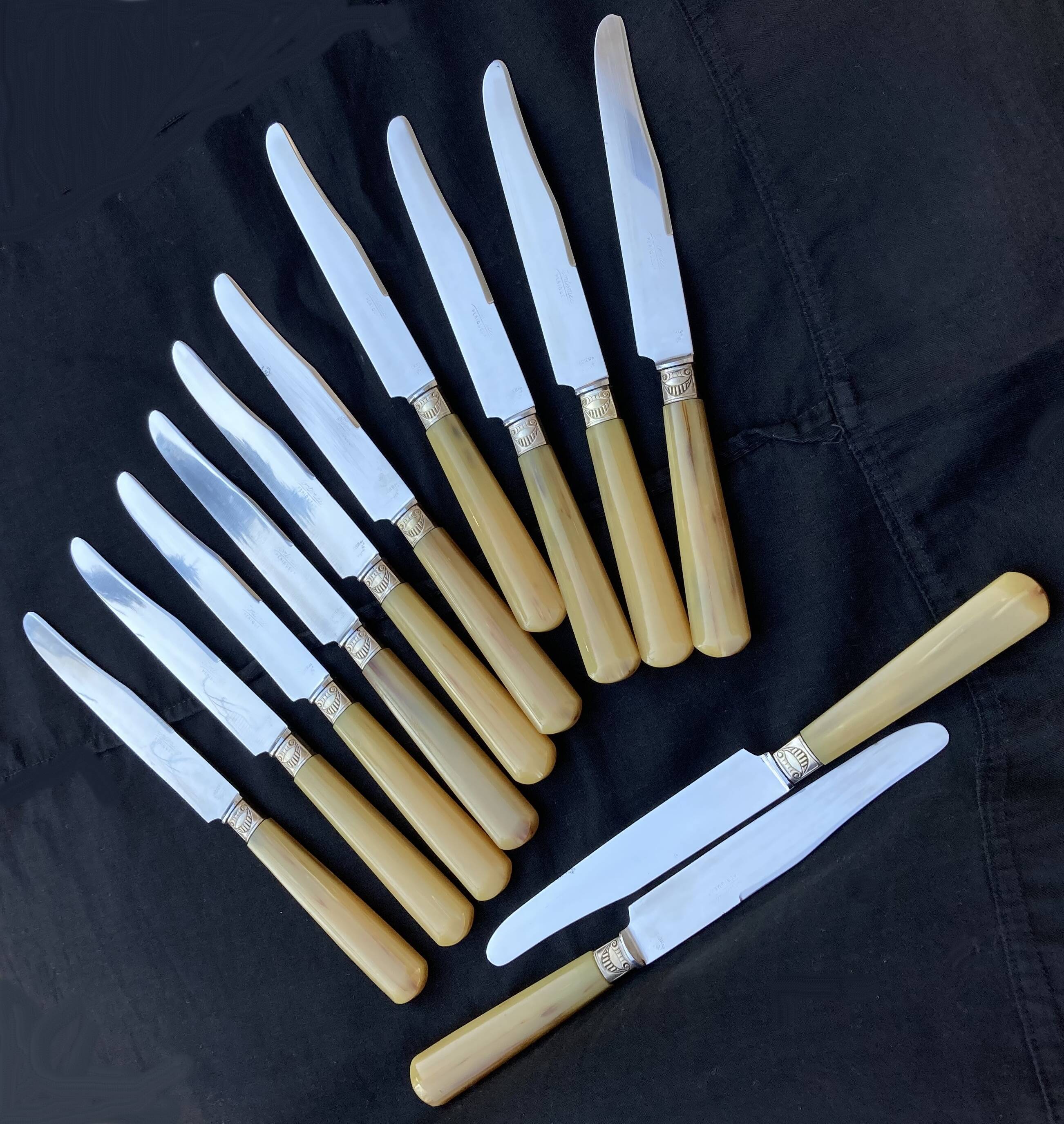 Coffret 12 couteaux anciens acier Fontenille Périgueux